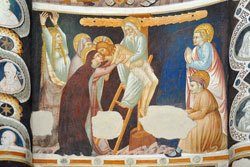 Amantius