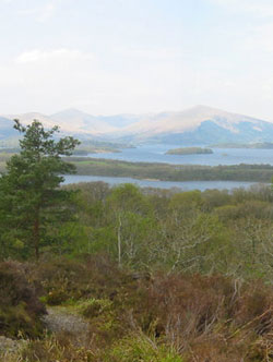 Kentigerna