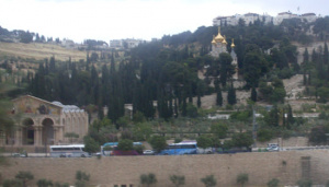 Beit David