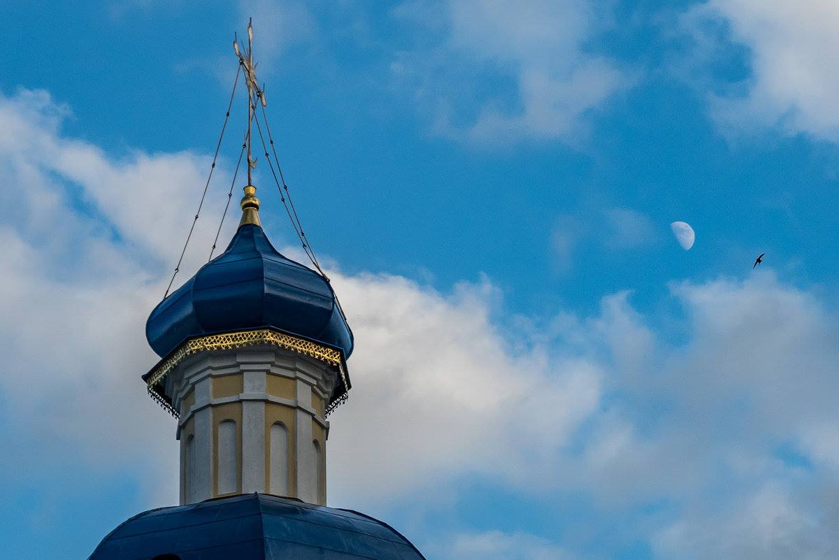 Предстоятель Русской Православной Церкви благословил строительство собора в центре Владивостока