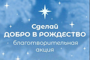 Завершилась церковная благотворительная акция «Добро в Рождество»