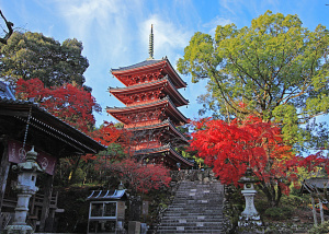 Chikurin-ji