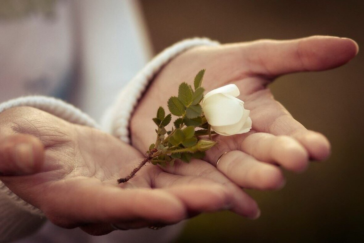 Нужно ли просить прощения у неверующих и иноверных