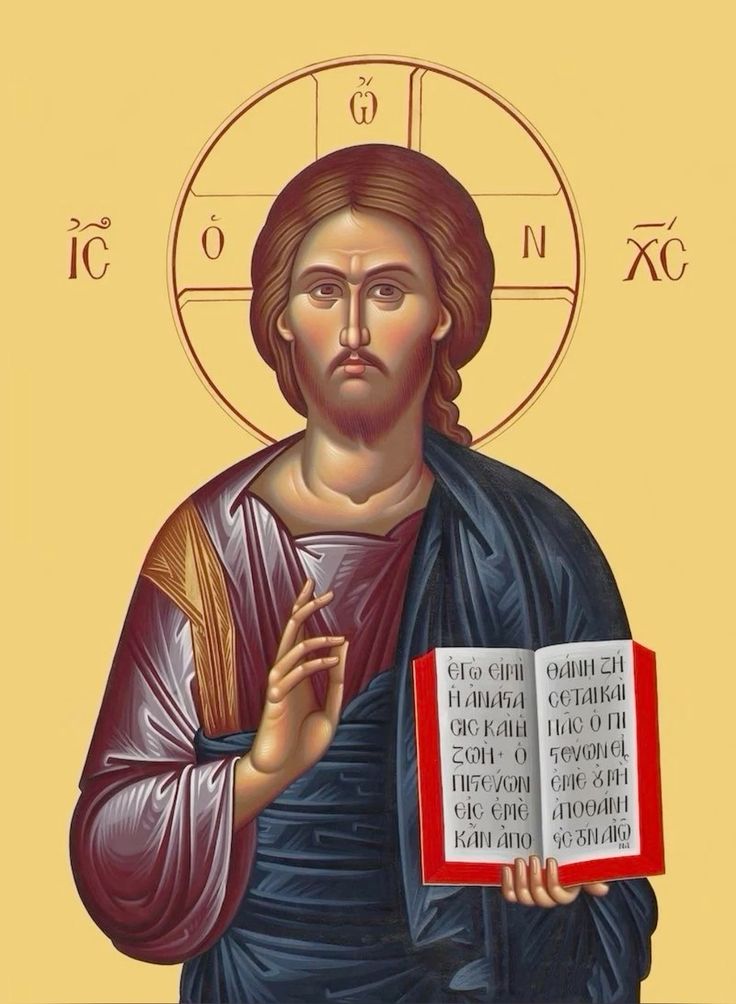 В скорби от поношений и непонимания