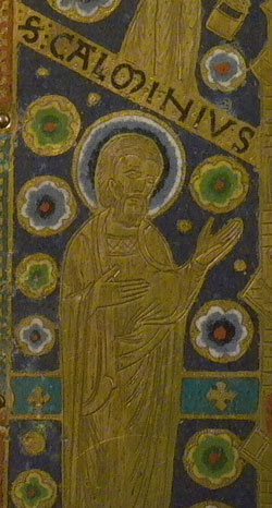 Calminius