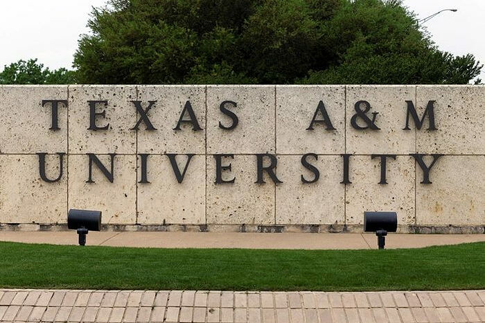 В Демократической Республике Конго исламисты зверски убили более 100 христиан