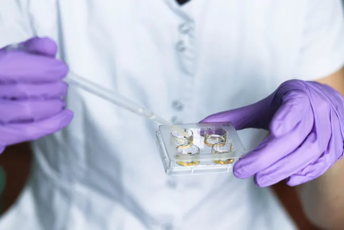 Республиканцы Сената блокируют неограниченный мандат на страхование ЭКО, но поддерживают другие законопроекты об ЭКО