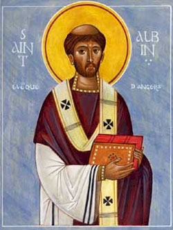 Albinus