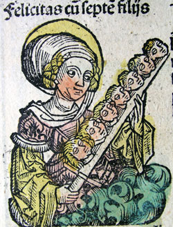 Alexander
