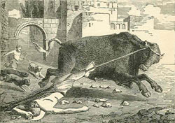 Saturninus