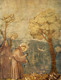 William Firmatus