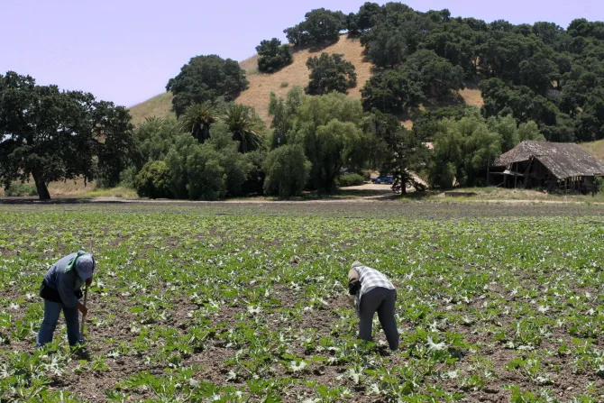 Католические епископы США отмечают День труда: Чтить "человеческое достоинство всех, кто трудится