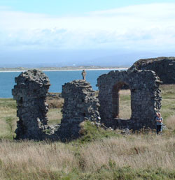 Dwynwen