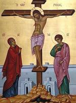 Poleus