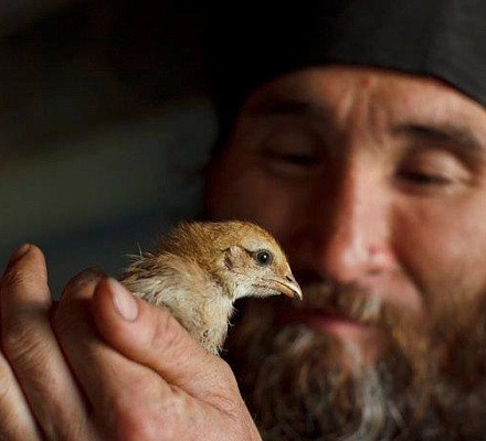 Pokrovsky Skete in der Volgo-Akhtubinskaya-Au wird ein Schutz für Vögel