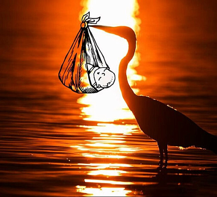 Священный Синод установил день особой молитвы о вразумлении имеющих намерение совершить убиение младенца во утробе