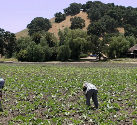 Католические епископы США отмечают День труда: Чтить "человеческое достоинство всех, кто трудится