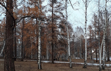 Suburgan in Mogai-Bazhy locality