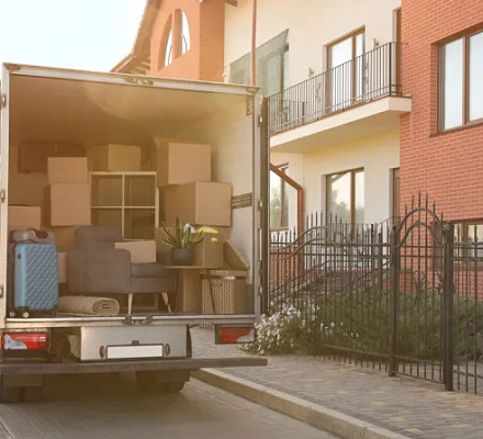 Семьи покидают "синие" штаты и устремляются в красные и фиолетовые, выяснили исследователи