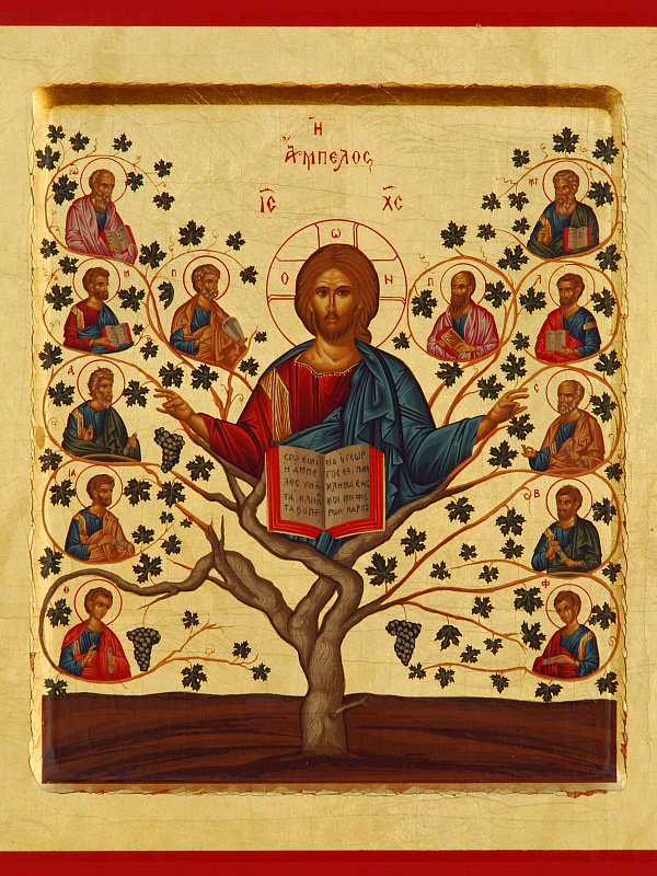 «Лоза Истинная»