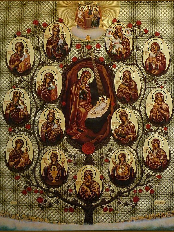 Древо Богородицы