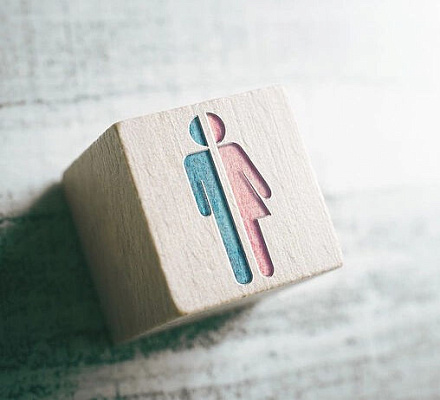 Новый закон штата Луизиана обязал учащихся пользоваться санузлами, раздевалками и спальнями только в соответствии с их биологическим полом