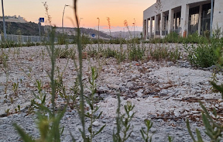 Ateret Chaim
