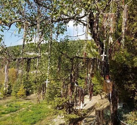 Красная среда в стране мучеников