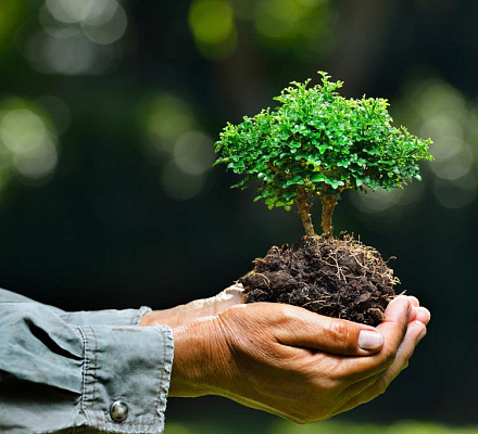 Papst Franziskus an Teilnehmer des UN-Klimagipfels: 'Es ist Zeit, den Kurs zu ändern'