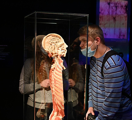 Orthodoxe Aktivisten appellieren an Behörden wegen kontroverser Ausstellung