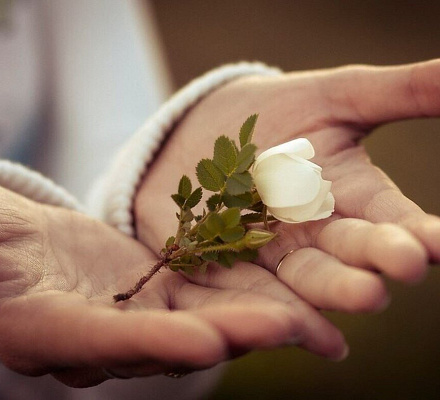 Нужно ли просить прощения у неверующих и иноверных