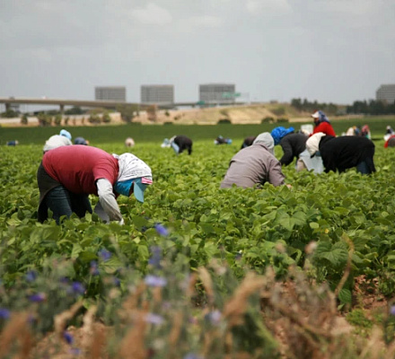 Католическая кампания за человеческое развитие потратила на 11,4 миллиона долларов больше своего бюджета