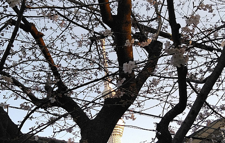Mokubo-ji