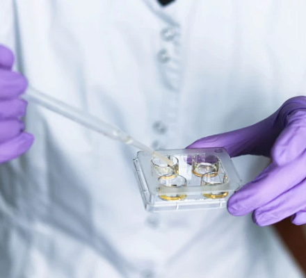 Новая американская компания по скринингу эмбрионов поднимает вопрос о "дизайнерских детях