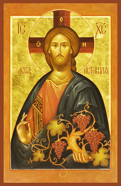 «Лоза Истинная»