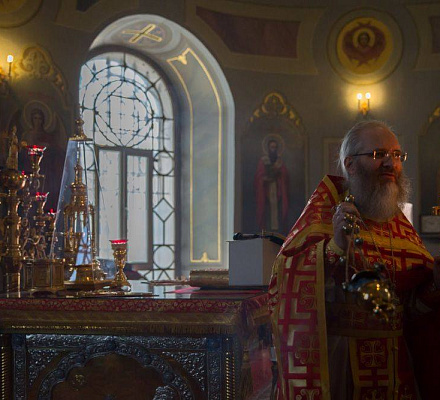 Ryazan Metropolitan lud die Stadtbewohner ein, das neue Jahr im Kreml zu feiern