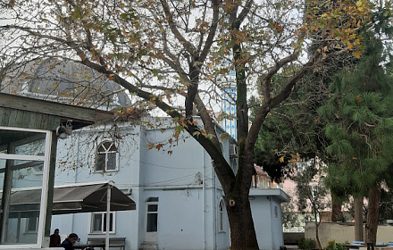 Hamidiye Mosque