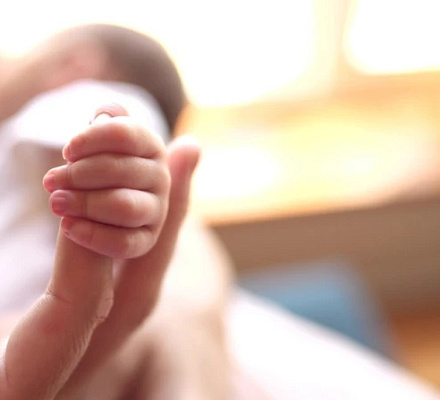 Данные показывают, что количество абортов в Айове сократилось почти на 40% после введения шестинедельного запрета