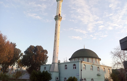 Medine Cami