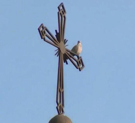 Während eines Gebetsgottesdienstes in Echmiadzin saß eine Taube am Kreuz des Tempels