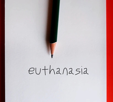 Правительство Альберты рассматривает новые правила эвтаназии