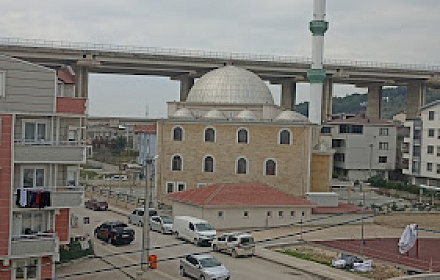 Demirtas Fatih Sultan Mehmet Mosque