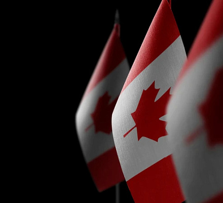 В прошлом году эвтаназия в Канаде подскочила почти на 16%: более 15 000 смертей