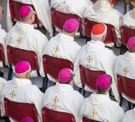 Дискуссии Синода о епископах и мирянах открыты для публики на богословских форумах