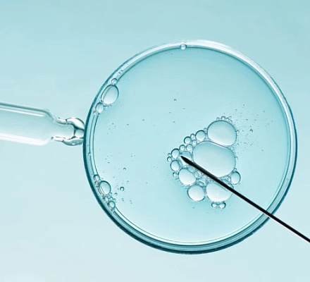 Епископ из Вирджинии: ЭКО "противоречит справедливости", разрушает множество человеческих жизней