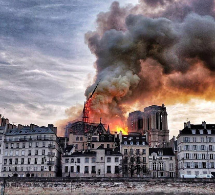 Die Hauptschreine der Kathedrale Notre Dame konnten gerettet werden