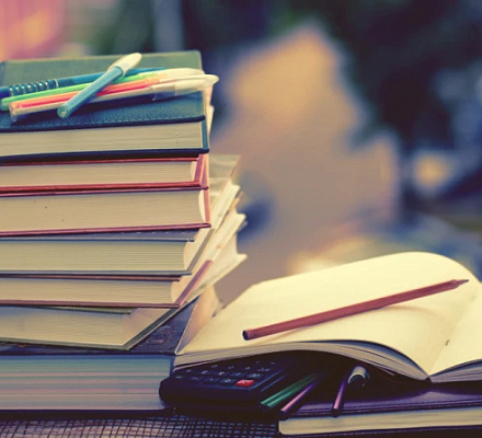 Епископы приветствуют Закон о выборе образования для детей, призывая убрать формулировку "ядовитая пилюля