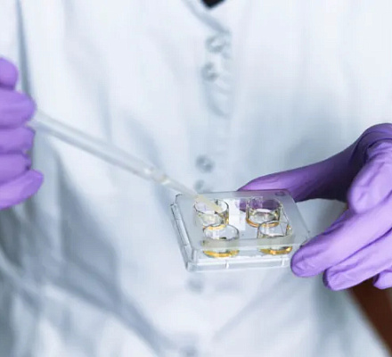 Трамп предлагает правительству оплачивать ЭКО; что говорят католики?