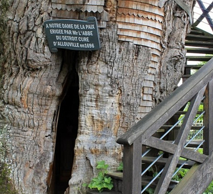 Zwei Kapellen in einer Eiche im Dorf Allouville-Belfoss
