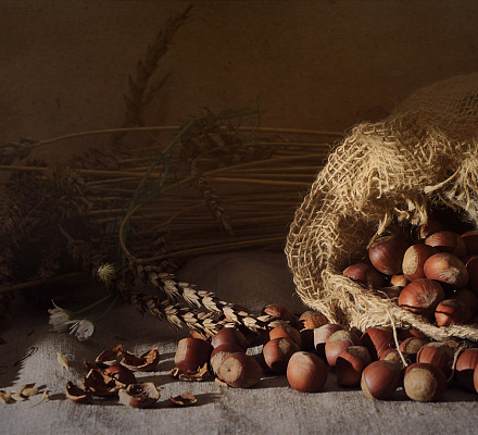 Dritter Retter. Er ist Nuss oder Brot